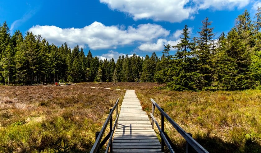 is thuringia underrated germany’s green heart deserves far more than a passing glance – a traveler’s deep dive